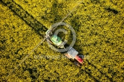 epandange pesticides champs de colza