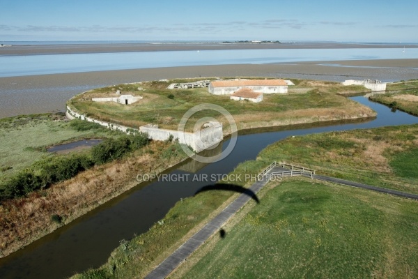 Fort Vasoux ou Fort de la Pointe
