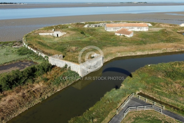 Fort Vasoux ou Fort de la Pointe vue aérienne