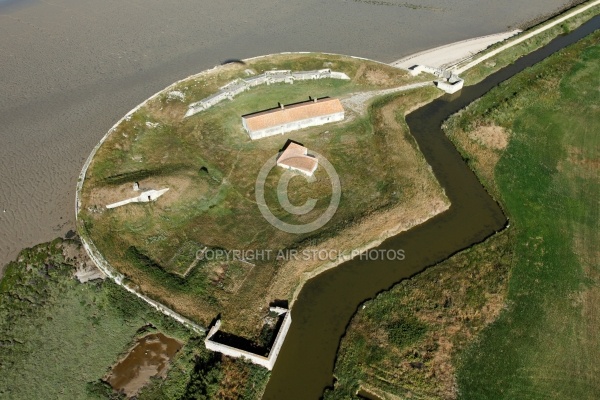 Fort Vasoux ou Fort de la Pointe vue du ciel