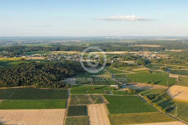 Photo aérienne de Champigny, 49400