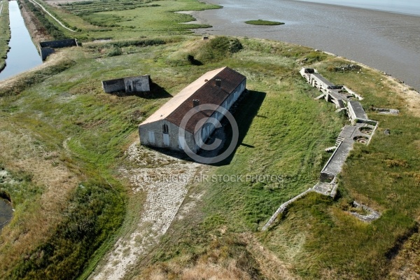 Photo aérienne de Fort Vasoux ou Fort de la Pointe