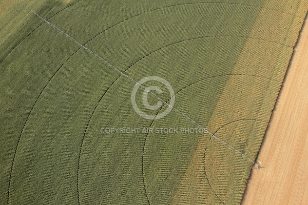 Photo aérienne irrigation en Beauce 45