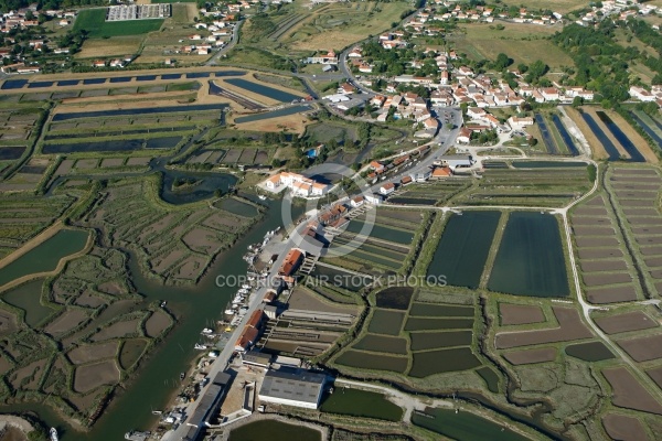 Port ostréicole de Chatressac, Pays Royannais, Charente-Maritime