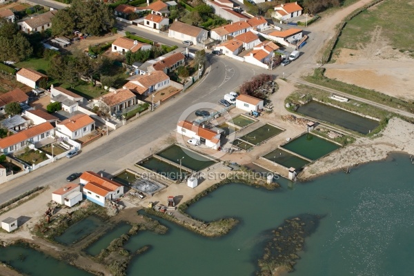 Port ostréicole de la Guittière, Vendée 85
