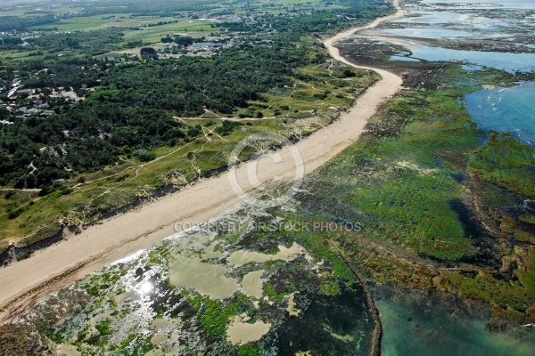 Vue aérienne  littoral  de Saint-Georges-d Oléron
