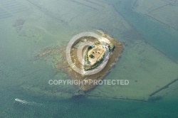 vue aérienne de l île aux Oeufs,  Golfe du Morbihan 56