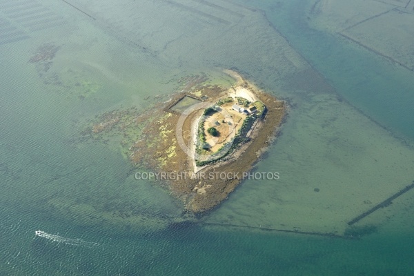 vue aérienne de l île aux Oeufs,  Golfe du Morbihan 56