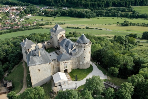Château de Malbrouck vue du ciel, Moselle 57 Château de Malbrouck vue du ciel, Moselle 57