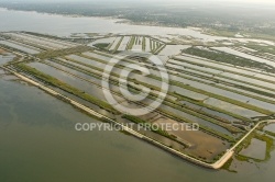 Réserve naturelle du domaine des certes 33