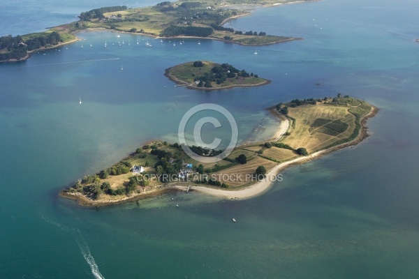 vue aerienne de lîle de Govihan,  Golfe du Morbihan 56