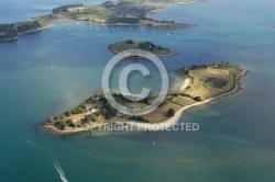 vue aerienne de lîle de Govihan,  Golfe du Morbihan 56